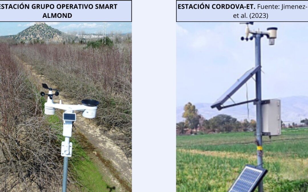Newsletter 3: La Importancia del Riego en el Cultivo del Almendro: Un Enfoque Basado en la Evapotranspiración