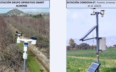 Newsletter 3: La Importancia del Riego en el Cultivo del Almendro: Un Enfoque Basado en la Evapotranspiración