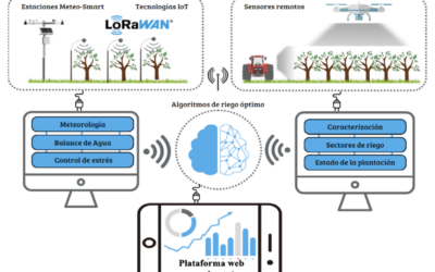 Newsletter 2: Tecnología IoT en el Riego Inteligente