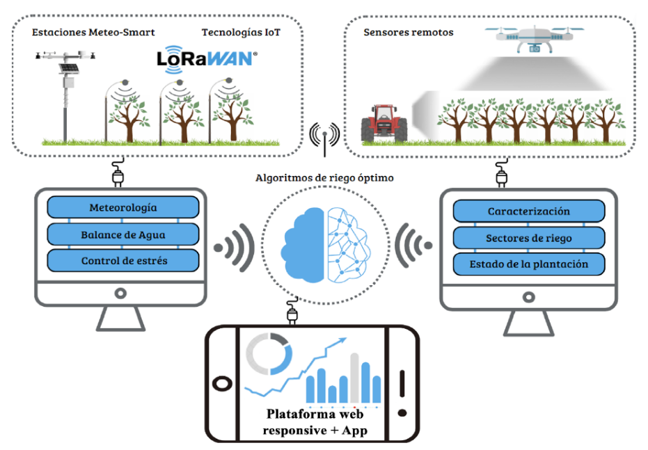 Newsletter 2: Tecnología IoT en el Riego Inteligente